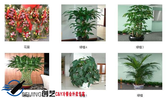 舞台设备会场布置