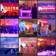 2012年最新鸡尾酒会