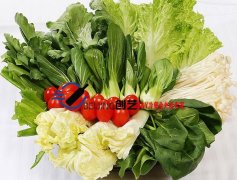 饮食养生观与饮食礼俗和饮食观念